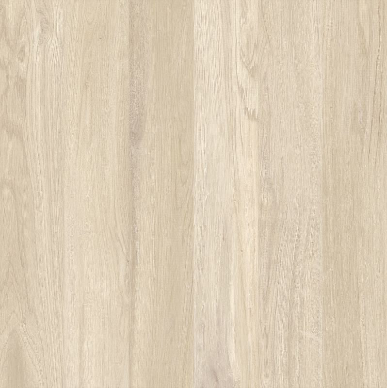 Piso Grês Natural Maximus lux 58x58cm Retificado Angelgres Classe A m²